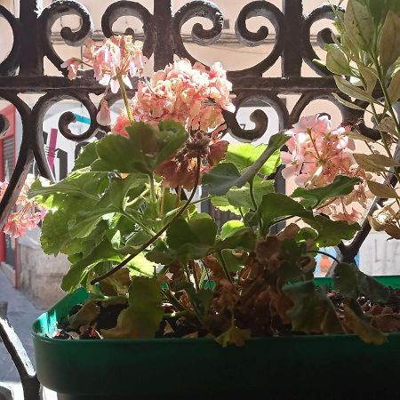 Apartamento Lavapies Al Lado Del Rastro มาดริด ภายนอก รูปภาพ