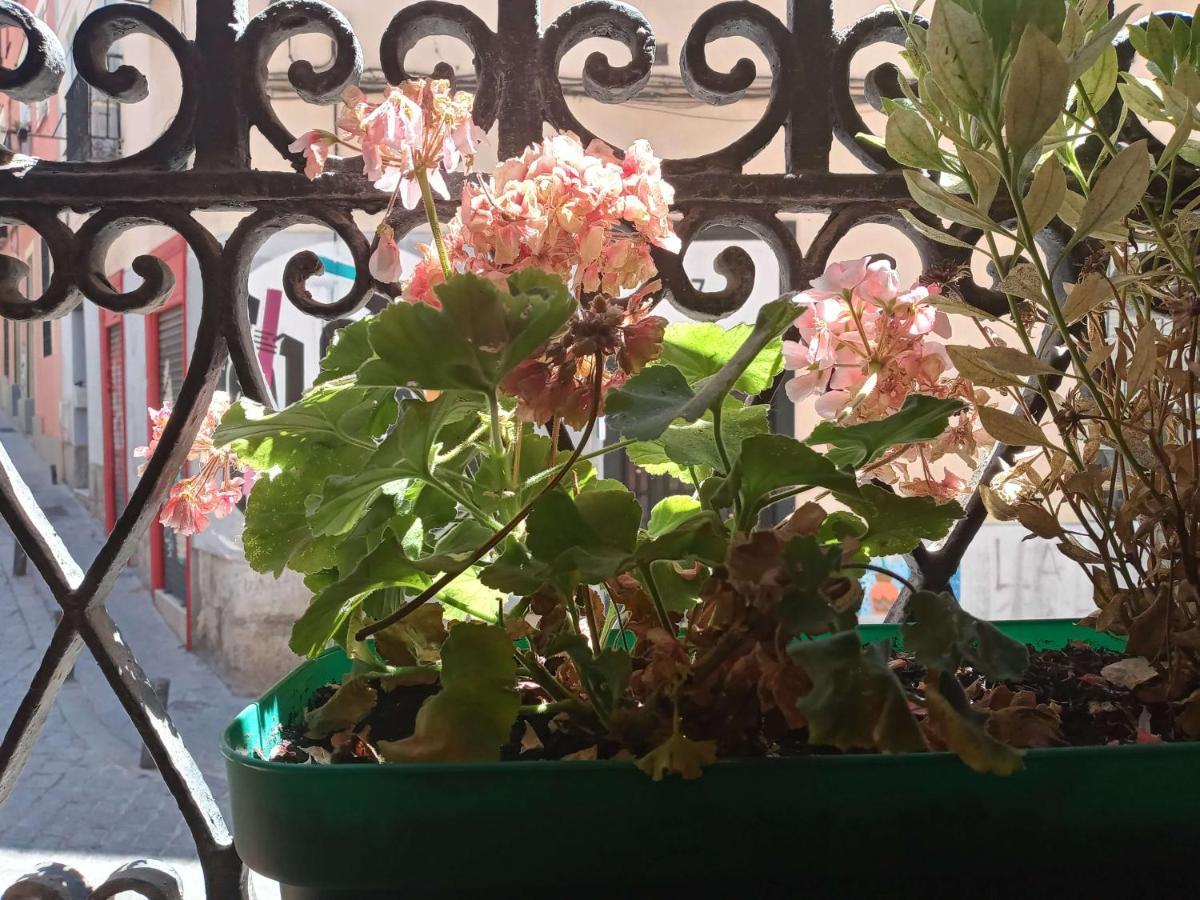 Apartamento Lavapies Al Lado Del Rastro มาดริด ภายนอก รูปภาพ